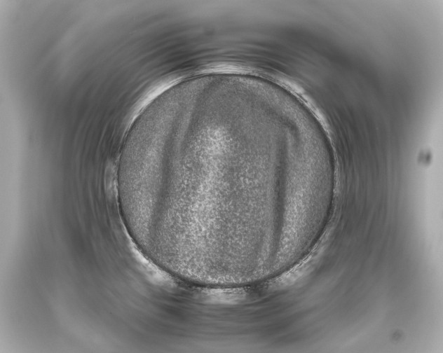 X0000093371433200711011219