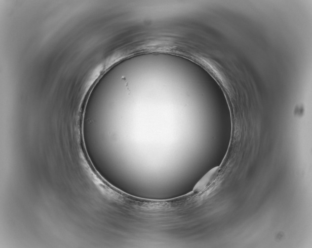 X0000093371434200711011219