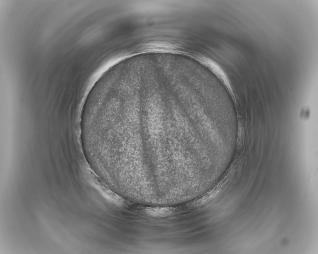 X0000093371435200711011219