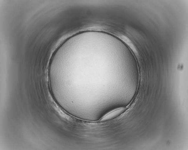 X0000093371436200711011219