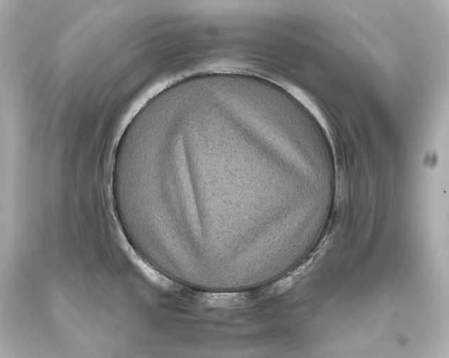 X0000093371437200711011219