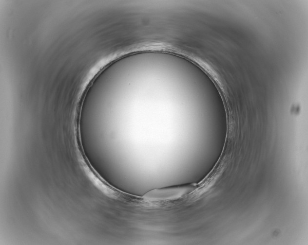 X0000093371438200711011219