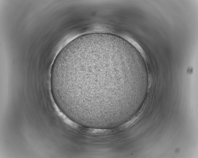 X0000093371439200711011219