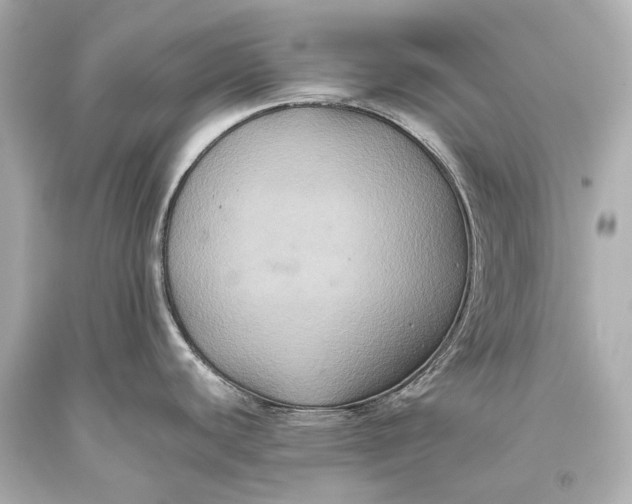 X0000093371440200711011219