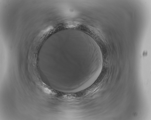 X0000093371441200711011218