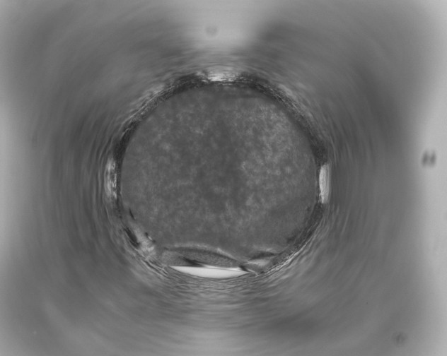 X0000093371443200711011218