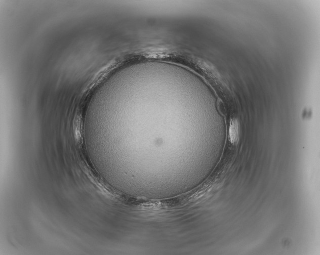 X0000093371444200711011218