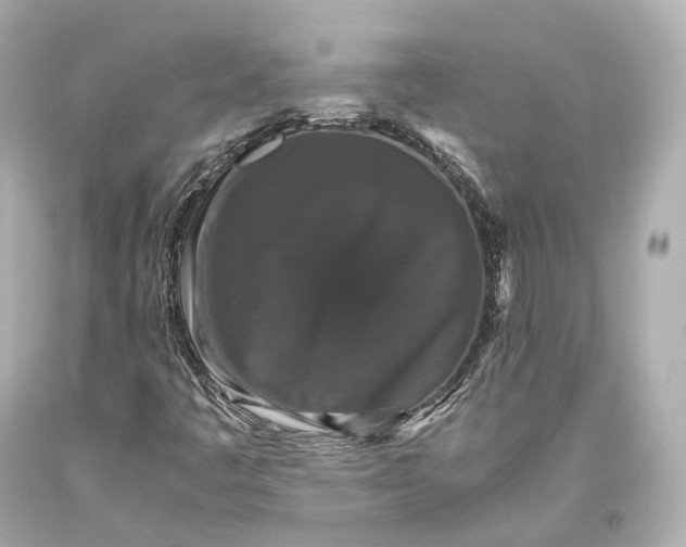 X0000093371445200711011218