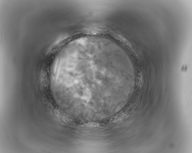 X0000093371446200711011218