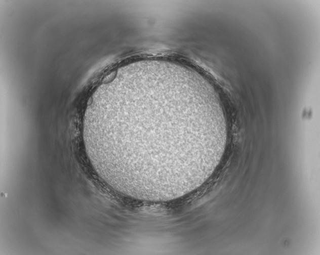 X0000093371447200711011218