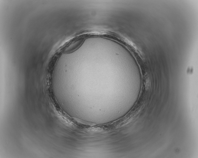 X0000093371448200711011218