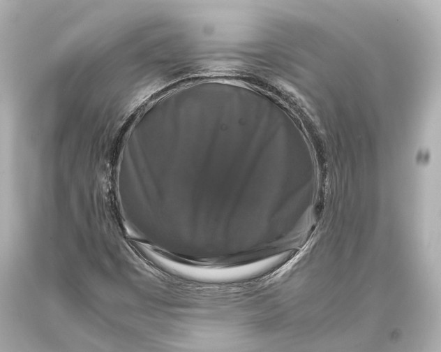 X0000093371449200711011218