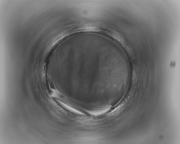 X0000093371450200711011218