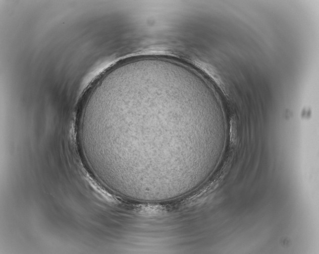 X0000093371452200711011218