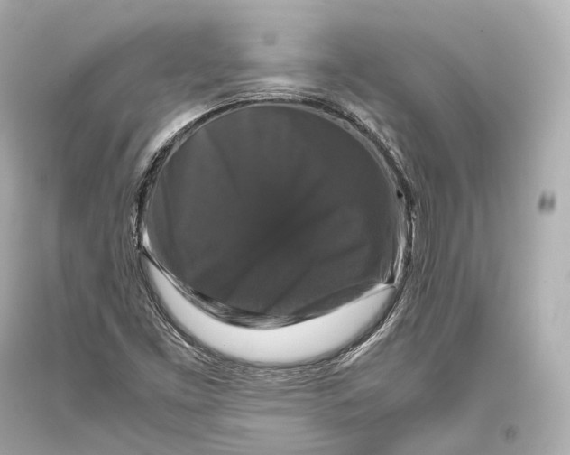 X0000093371453200711011218