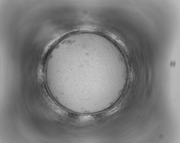 X0000093371454200711011218