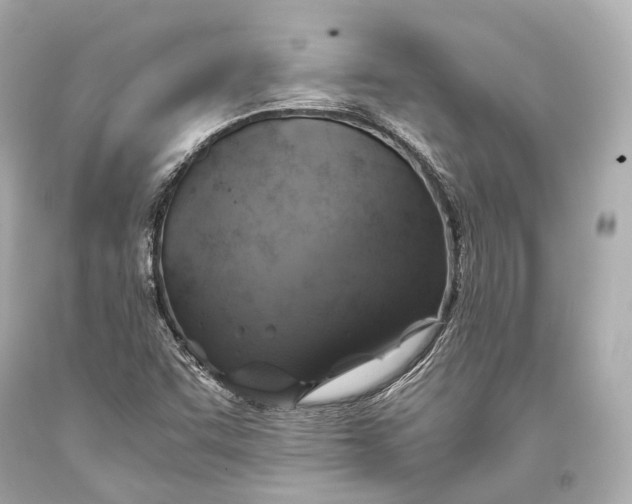 X0000093371455200711011218