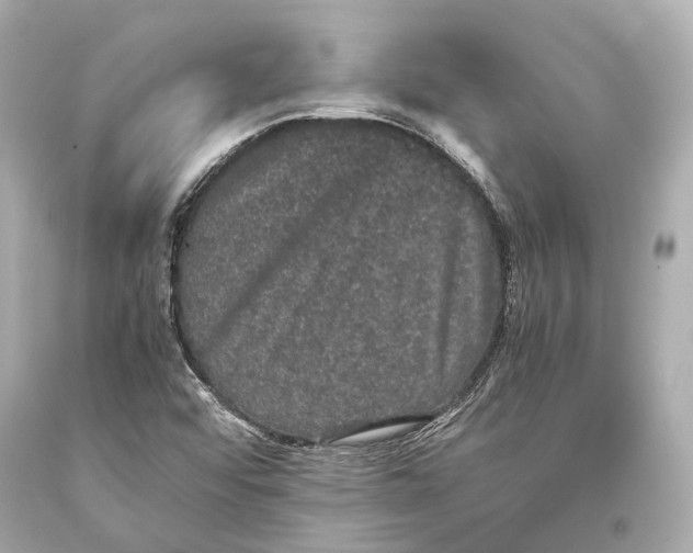 X0000093371456200711011218