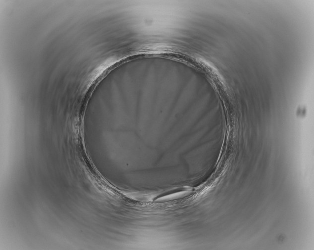 X0000093371457200711011218