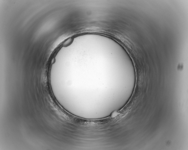 X0000093371458200711011218