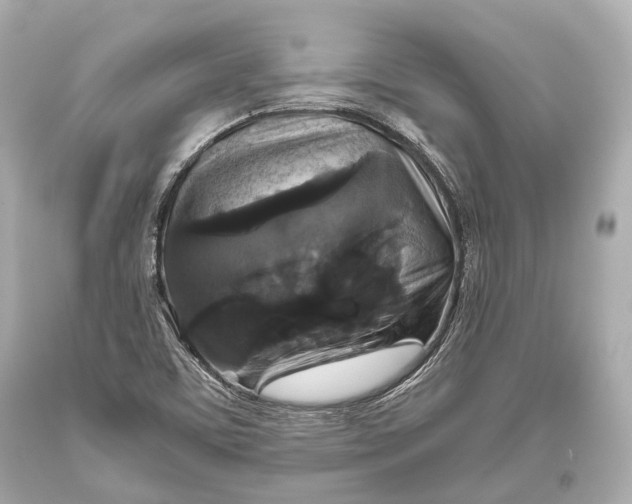 X0000093371459200711011218