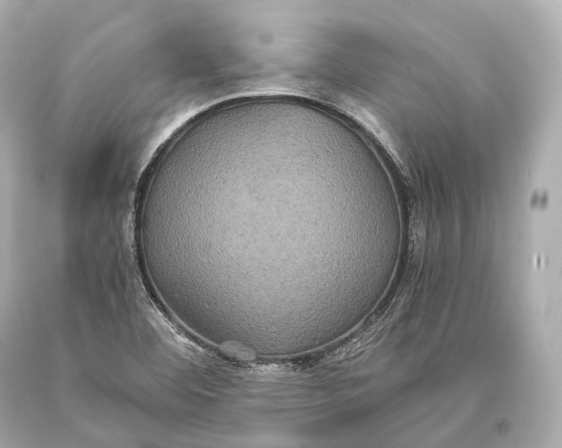 X0000093371460200711011218