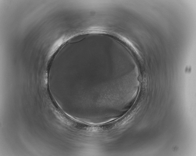 X0000093371461200711011218