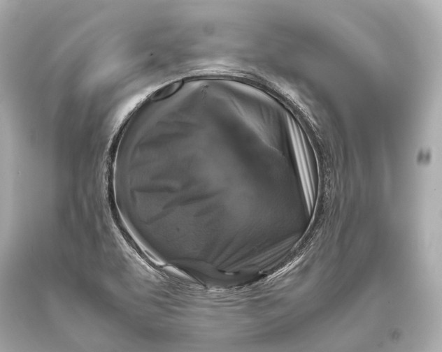 X0000093371463200711011218