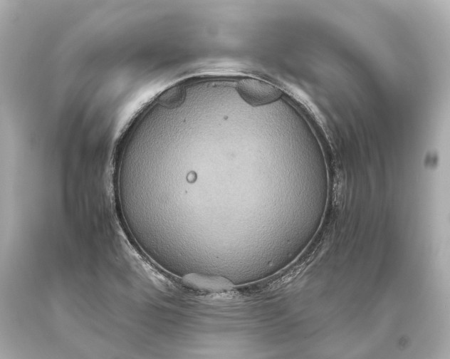 X0000093371464200711011218