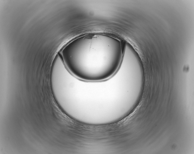 X0000093371465200711011218