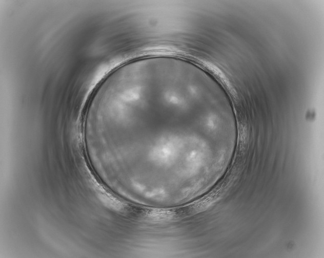 X0000093371466200711011218