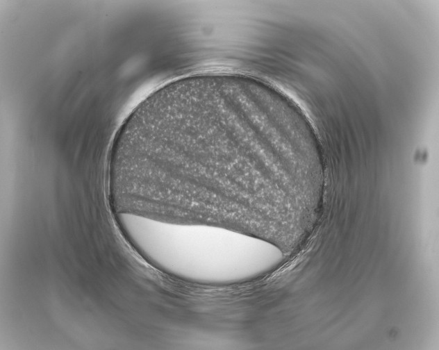 X0000093371467200711011218