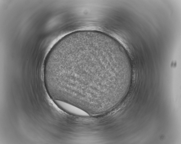 X0000093371468200711011218