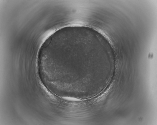 X0000093371469200711011218