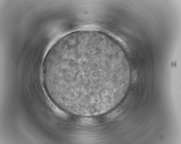 X0000093371470200711011218