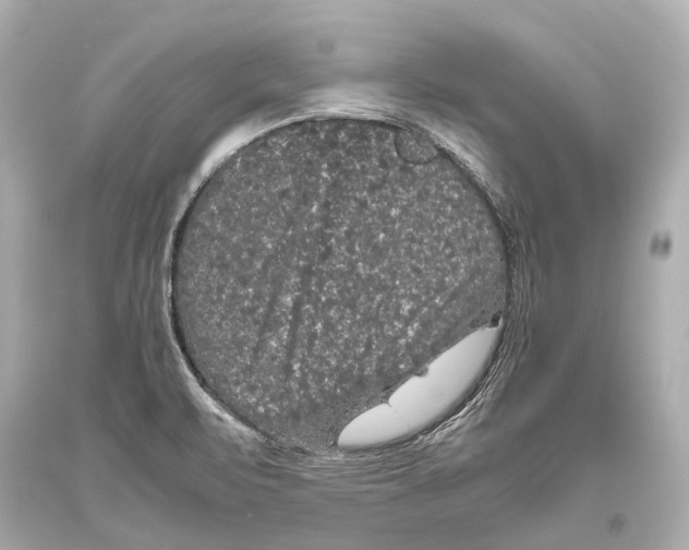 X0000093371471200711011218