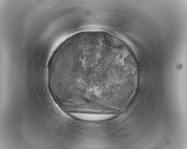 X0000093371472200711011218