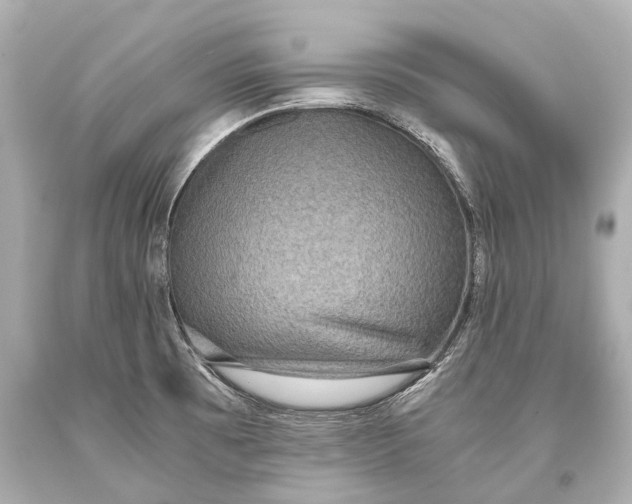 X0000093371473200711011218