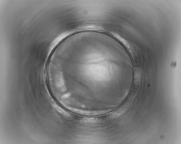 X0000093371474200711011218