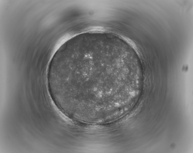 X0000093371475200711011218