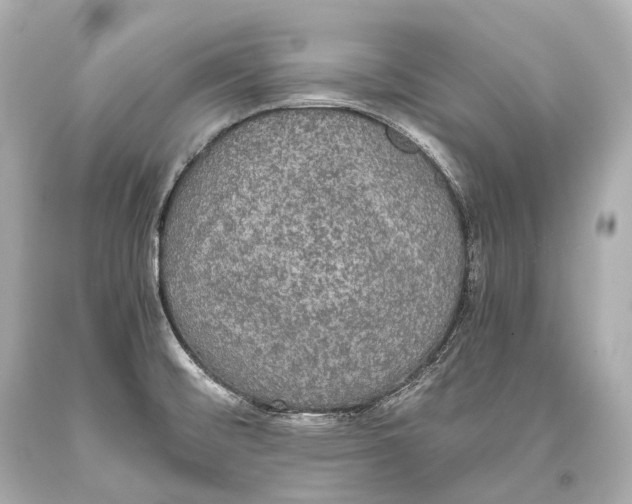 X0000093371476200711011218