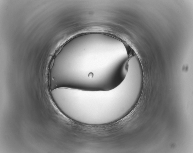 X0000093371477200711011218