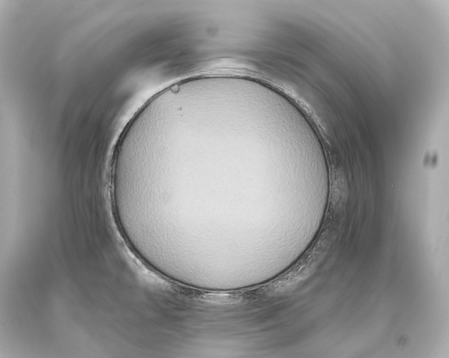 X0000093371478200711011218