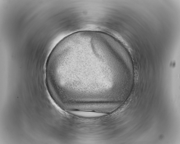 X0000093371479200711011218