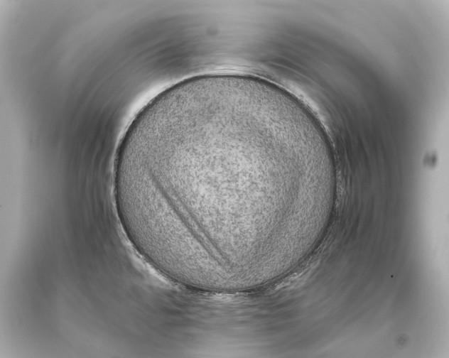 X0000093371480200711011218