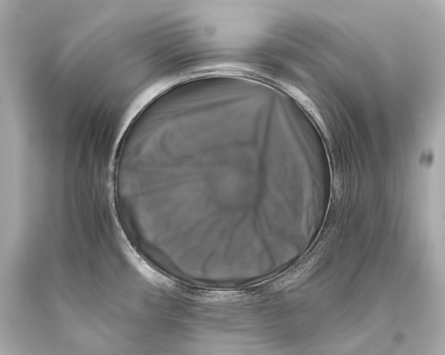 X0000093371482200711011218