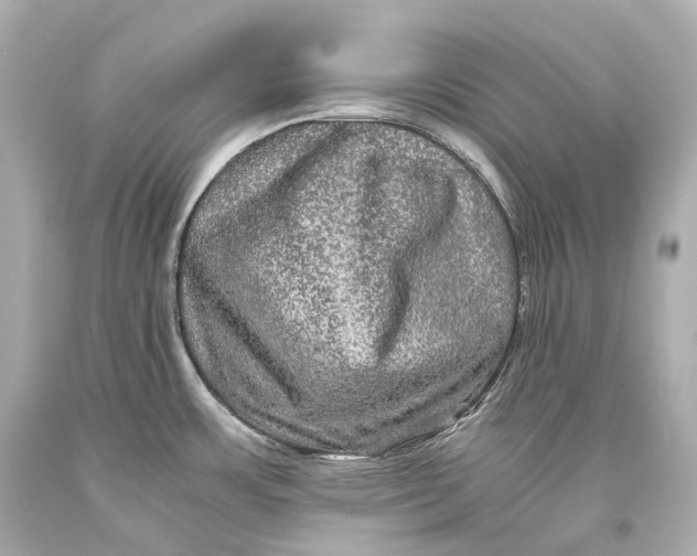 X0000093371483200711011218