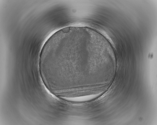 X0000093371484200711011218