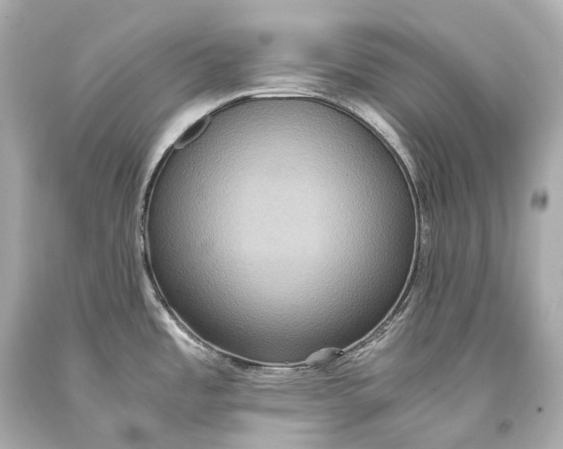 X0000093371485200711011218