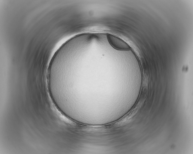 X0000093371486200711011218